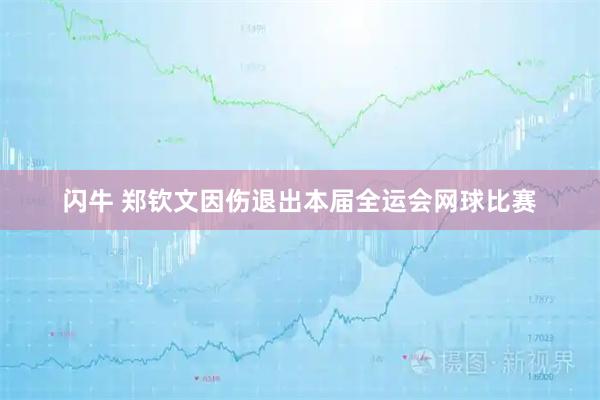 闪牛 郑钦文因伤退出本届全运会网球比赛