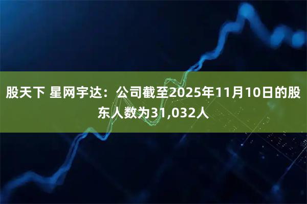 股天下 星网宇达：公司截至2025年11月10日的股东人数为31,032人