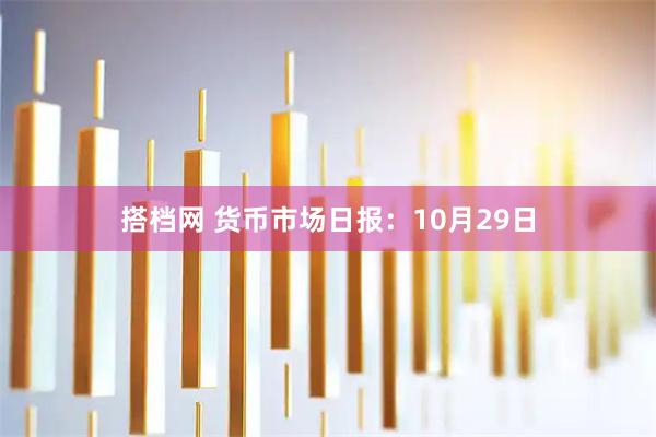 搭档网 货币市场日报：10月29日