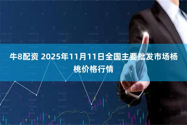 牛8配资 2025年11月11日全国主要批发市场杨桃价格行情