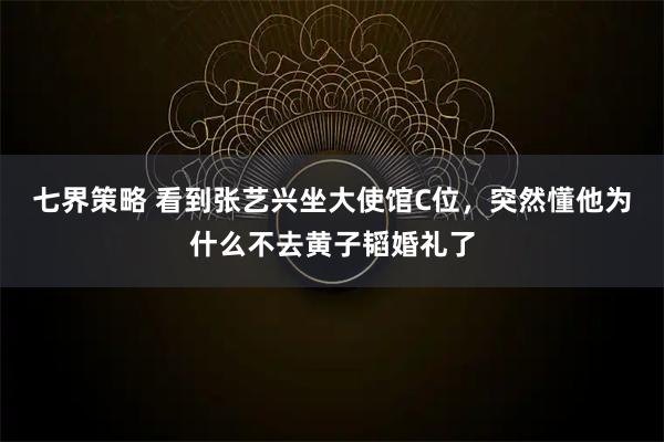 七界策略 看到张艺兴坐大使馆C位，突然懂他为什么不去黄子韬婚礼了