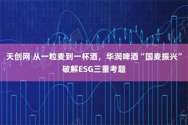 天创网 从一粒麦到一杯酒，华润啤酒“国麦振兴”破解ESG三重考题